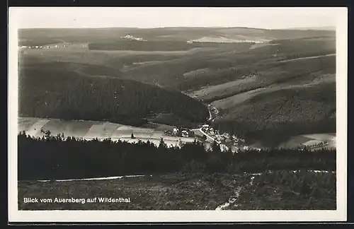 AK Wildenthal, Blick vom Auersberg auf den Ort