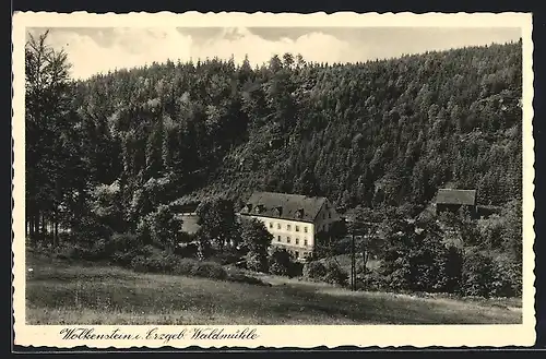 AK Wolkenstein i. Erzgeb., Waldmühle im Wald