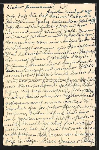 AK Schellerhau i. Erzgeb., Ortsansicht durch die Bäume