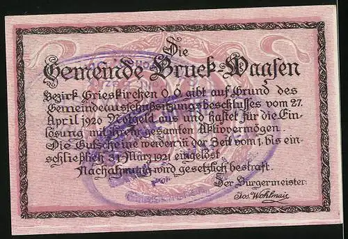 Notgeld Bruck-Waasen 1920, 20 Heller, Teilansicht vom Ort, Wappen