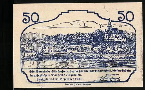 Notgeld Säusenstein 1920, 50 Heller, Ortsansicht