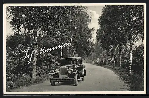 AK Auto Wanderer W11 (1929 /30), Wagen fährt durch einen Wald