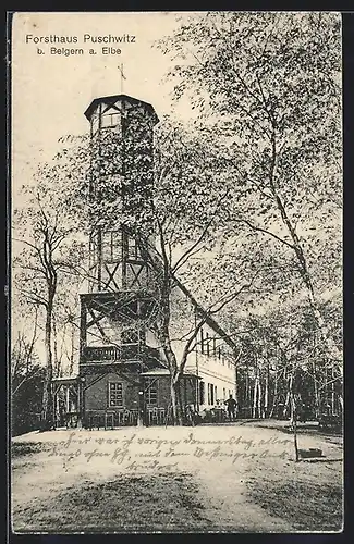 AK Belgern a. Elbe, Forsthaus Puschwitz mit Aussichtsturm