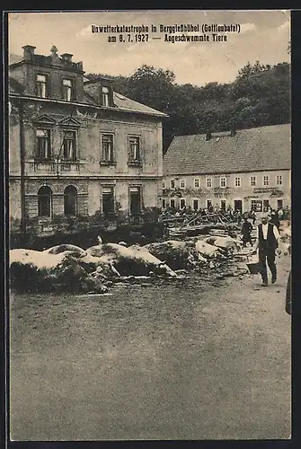 AK Berggiesshübel /Gottleubatal, Unwetterkatastrophe am 8. 7. 1927, Angeschwemmte Tiere