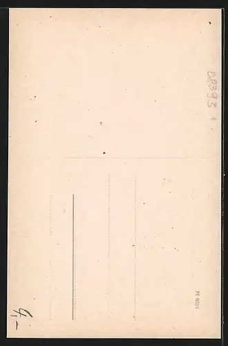 AK Meerane / Sachsen, Strassenpartie am Hotel Deutscher Kaiser