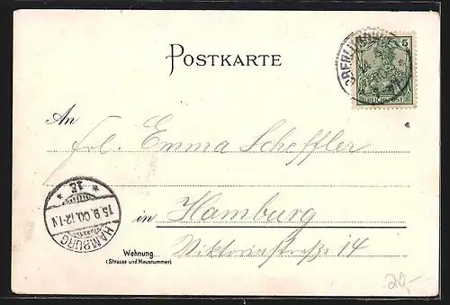 Lithographie Oberlungwitz, Strassenpartie am Elektrizitätswerk mit Villa Kunath, Totalansicht