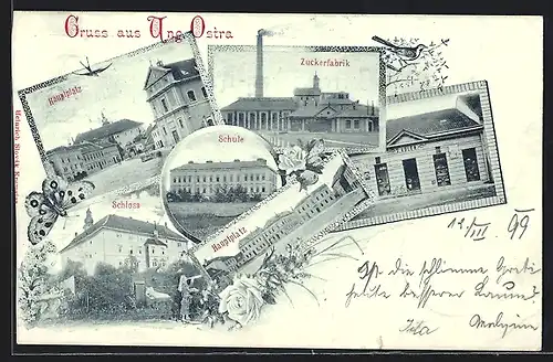 AK Ung. Ostra, Geschäft v. S. Adler, Zuckerfabrik, Schule