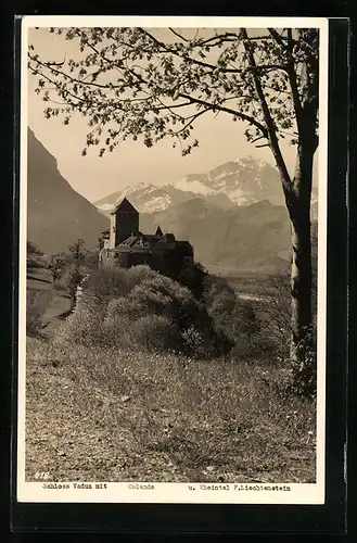 AK Vaduz, Schloss Vaduz mit Calanda