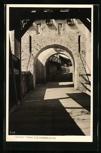 AK Vaduz, Schloss Vaduz, Eingang mit Torbögen