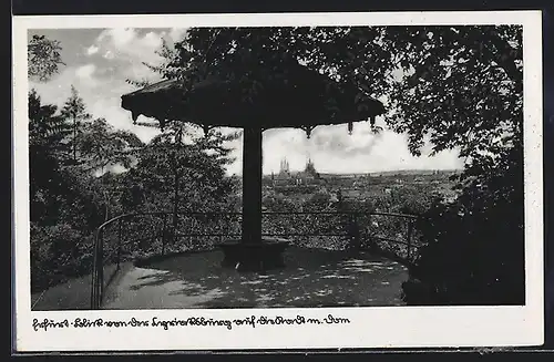 AK Erfurt, Blick von der Burg auf Stadt mit Dom