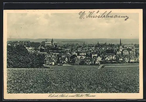 AK Erfurt, Blick vom Wald-Kasino auf die Stadt