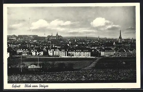 AK Erfurt, Panoramablick vom Steiger