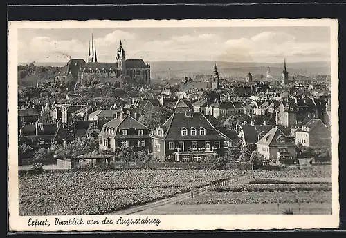 AK Erfurt, Domblick von der Augustaburg aus