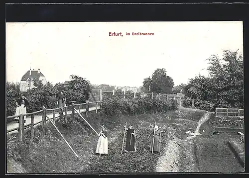 AK Erfurt, im Dreibrunnen