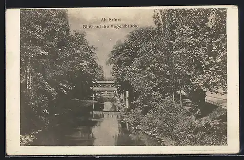 AK Alt-Erfurt, Blick auf die Vogelsbrücke