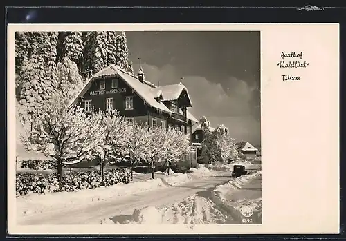 AK Titisee / Hochschwarzwald, Gasthof Waldlust im Winter