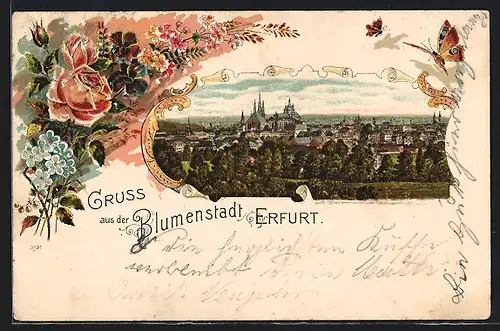 Lithographie Erfurt, Panorama, Blumen und Schmetterlinge