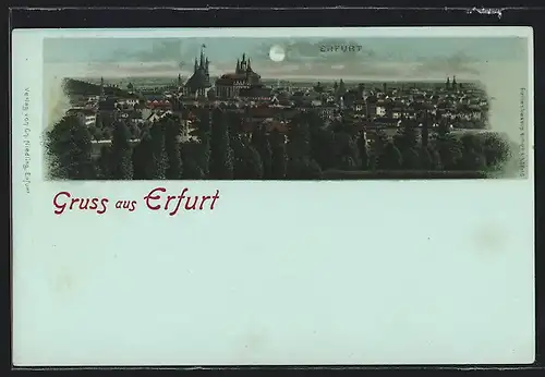 Mondschein-AK Erfurt, Gesamtansicht mit Dom