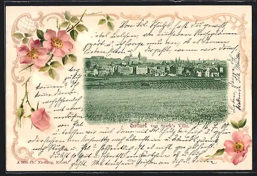 Passepartout-AK Erfurt, Stadtpanorama, Blumenranke