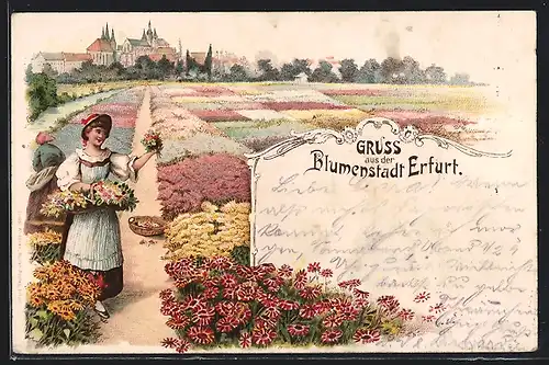 Lithographie Erfurt, Stadtansicht mit Blumenfeldern