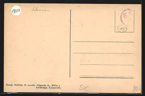 AK Höganäs N., Panorama