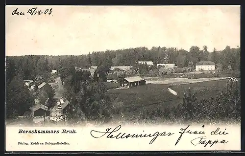 AK Bernshammars Bruk, Panorama