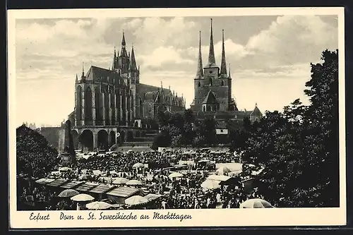 AK Erfurt, Dom mit St. Severikirche an Markttagen