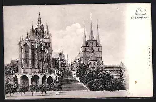 AK Erfurt, Dom und St. Severikirche mit Bäumen