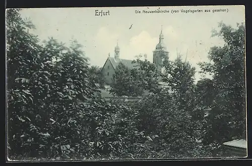 AK Erfurt, Die Neuwerkskirche von Vogelsgarten aus gesehen