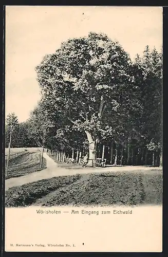 AK Bad Wörishofen, Am Eingang zum Eichwald