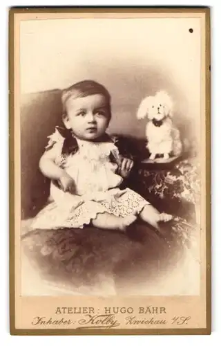 Fotografie Hugo Bähr, Zwickau i. S., Kaiser Wilhelm-Platz 31, Süsses Kleinkind im Kleid mit Spieltier