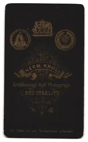 Fotografie Herm. Krull, Neu-Strelitz, Bürgerliche Dame mit Kleinkind im Arm