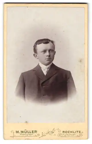 Fotografie M. Müller, Rochlitz /Sachsen, Junger Herr im Anzug mit Krawatte