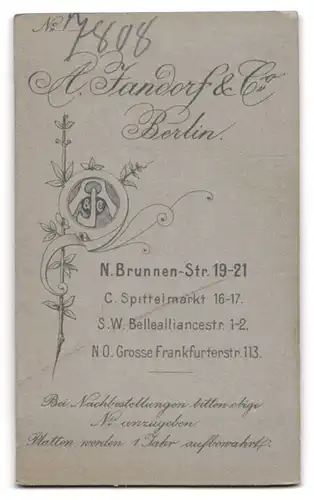 Fotografie A. Jandorf & Co., Berlin, Brunnen-Str. 19-21, Bürgerliche Dame im Kleid