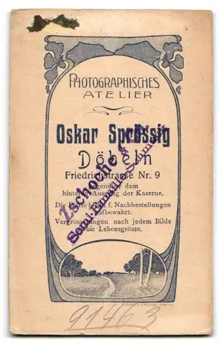 Fotografie Oskar Sprössig, Döbeln i. S., Friedrichstr. 9, Junge Dame mit hochgestecktem Haar