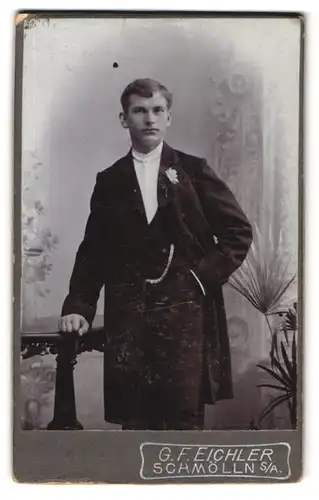 Fotografie G. F. Eichler, Schmölln /S.-A., Junger Herr im Anzug mit Krawatte