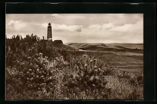 AK Insel Hiddensee /Rügen, Dornbusch-Leuchtturm und Hochland