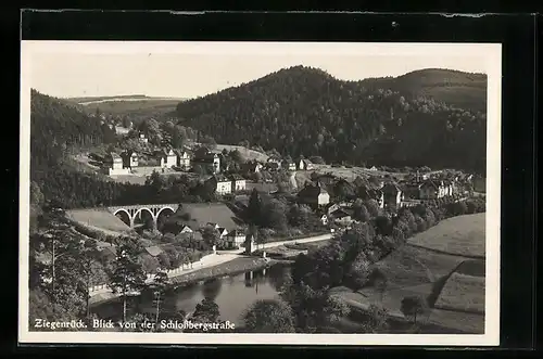 AK Ziegenrück / Saaletal, Blick von der Schlossbergstrasse