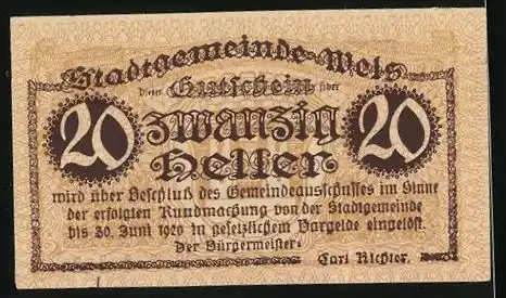 Notgeld Wels 1920, 20 Heller, Schloss, Wappen