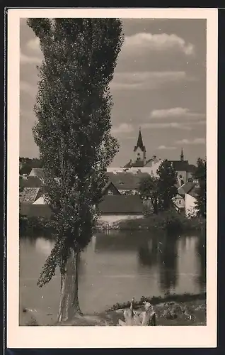 AK Sedlec, Pappel am Wasser, Teilansicht mit Kirchturm