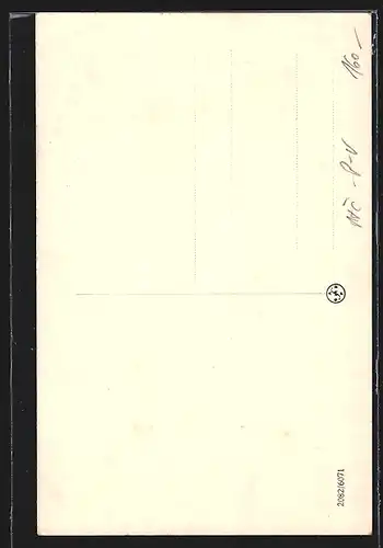 AK Ricany, Partie u skoly