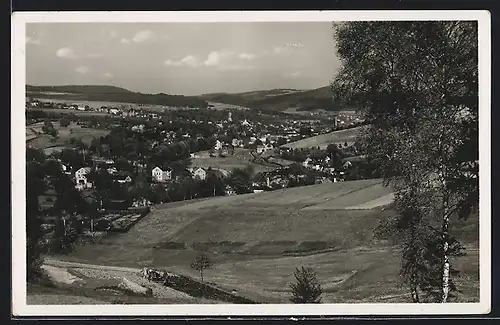 AK Markneukirchen, Totalansicht m. d. Erlbacher Bergen