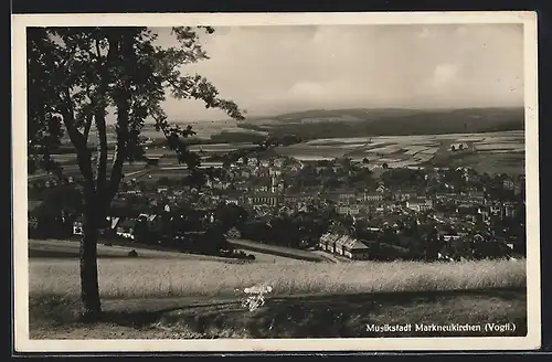 AK Markneukirchen, Ortspanorama