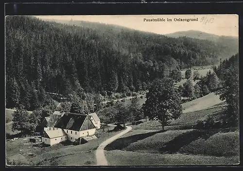 AK Bad Gottleuba, Paustmühle im Oelsengrund, Ortsansicht mit Wald