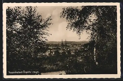 AK Ölsnitz i. Vogtl., Ortsansicht hinter Birken