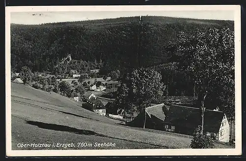 AK Ober-Holzhau i. Erzgeb., Ortsansicht aus der Vogelschau