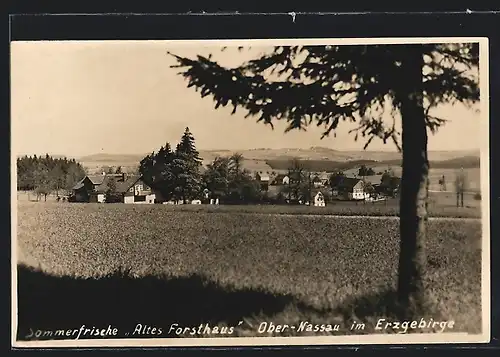 AK Ober-Nassau im Erzgebirge, Sommerfrische Altes Forsthaus