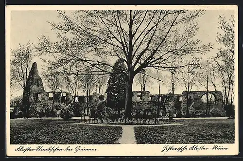 AK Nimbschen bei Grimma, Historische Kloster-Ruine