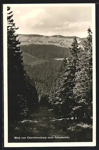 AK Schellerhau, Blick von Oberbärenburg auf den Ort