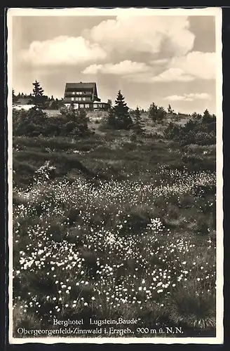 AK Obergeorgenfeld-Zinnwald i. Erzgeb., Berhotel Lugstein-Baude im Frühling